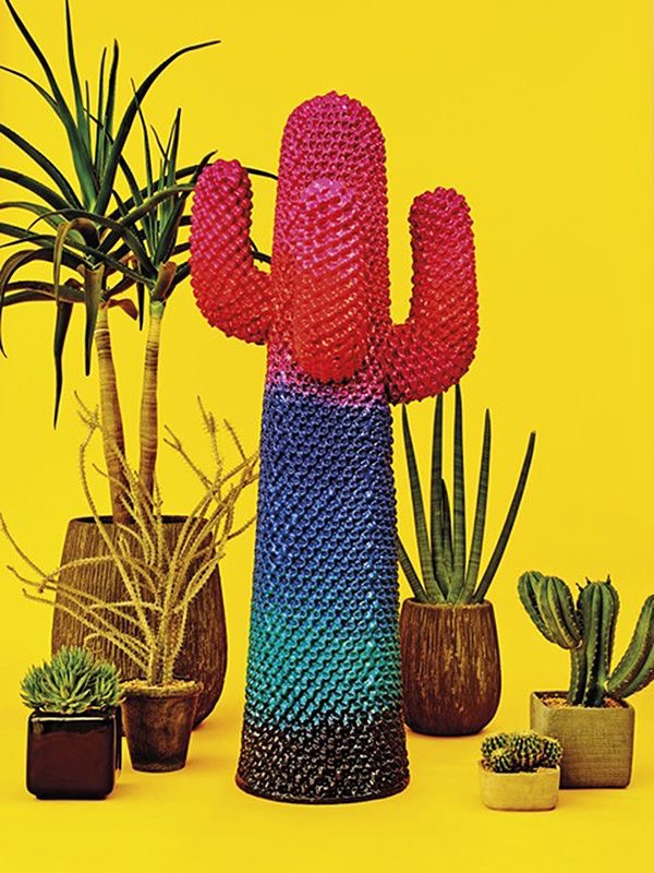 paul smith cactus 