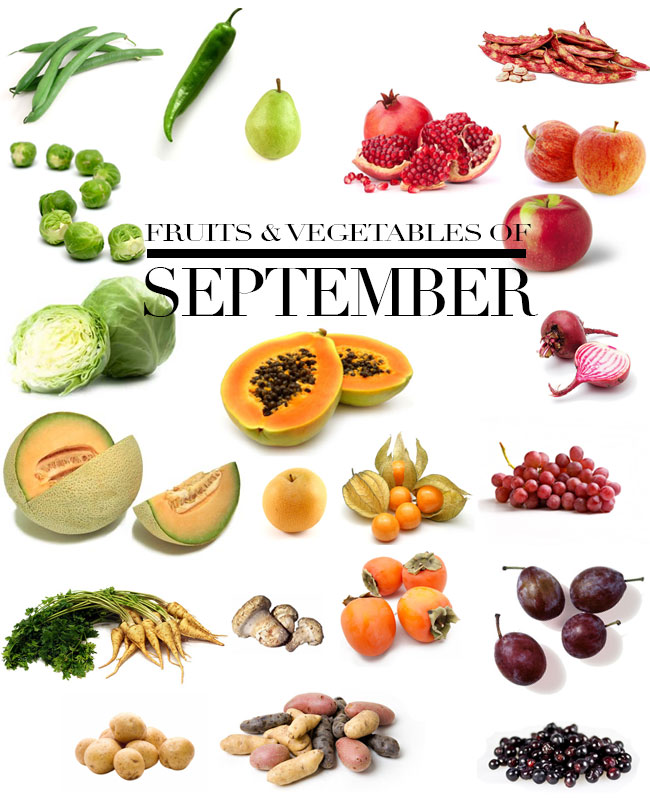 what-s-in-season-in-september-fruits-and-tablescapes-dishes-only